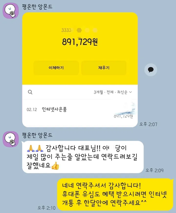 카카오톡 지급 확인 후기 10 — 입금 내역 확인